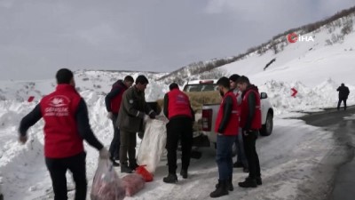 Merkez Haberleri: Yaban hayat için karlı dağları aştılar Merkez Haberleri: Yaban hayat için karlı dağları aştılar