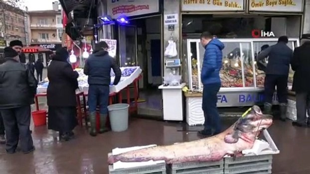 Cem Karaca Siz 16 Yil Guresturkiye Wwe Turkiye