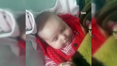 Broş tavuk cins tavuklar: açıklama, üreme ve özellikleri 66