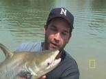 ilginc goruntu - İlginç Balık Videosu