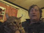 sevimli kedi - Işık Anahtarına Basması İçin Eğitiliyor Videosu