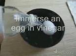 yumurta - Yumurtanın Yolculuğu Videosu