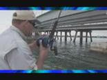 amator - Dev bir Balık Avı Videosu