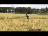 belgesel - Avcı İki Atışta Bıldırcını Vuruyor Videosu