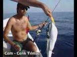 balik avi - Balon Balığı Videosu