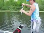 Balık İçin Can Atan Köpek