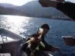 balik avi - İstorpit Balık Avı Videosu