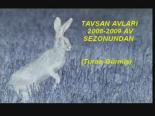 tavsan avi - Turan Gümüş Tavşan Avı Videosu