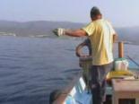 avcilik - Türkiye'de Köpek Balığı Avı Videosu