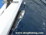 belgesel - Balıkçılık Videosu