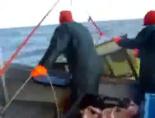 avcilik - Kafes ile Istakoz Avı - Balık Avı Videosu