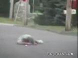 motosiklet kazasi - Çok Kötü Çarptı Videosu