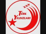 Türk Yıldızları 2008