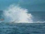 balina - Balina Korkuttu Videosu