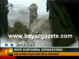 Deve Kurtarma Operasyonu