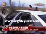 9 Koyun, 4 Hırsız