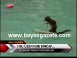 Su Üzerinde Sincap...