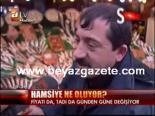 hamsi balik - Hamsiye Ne Oluyor? Videosu