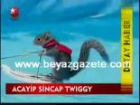Acayip Sincap Twıggy