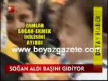 Soğan Aldı Başını Gidiyor