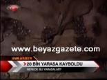 20 bin yarasa kayboldu