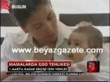 gdo - Mamalarda Gdo Tehlikesi Videosu