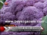 sebze uretimi - Türkiye'nin İlk Renkli Karnıbaharı Videosu