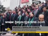 Anadolu Baroları Ayakta