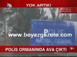 Polis Ormanında Ava Çıktı