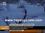 Bolu'da Geyik Operasyonu