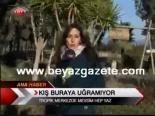 Kış Buraya Uğramıyor