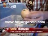 metin arolat - Evdeki Farmville Videosu
