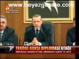 Teröre Karşı Diplomasi Atağı