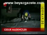 Cesur Madenciler
