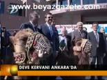 Deve Kervanı Ankara'da