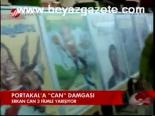 Portakal'a Can Damgası