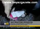 Suç Örgütüne Operasyon