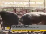 Kurban Satışları