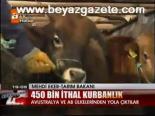 450 Bin İthal Kurbanlık