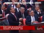 Dağ Fare Mi Doğurdu?