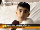 Bora'nın Hayata Dönüşü
