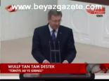 Wullf'tan Tam Destek