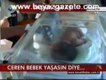 Ceren Bebek Yaşasın Diye...