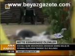 Mit'te Esrarengiz Ölümler
