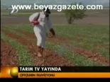 Tarım Tv Yayında