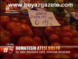 Domatesin Ateşi Düştü