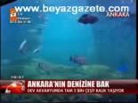 Ankara'nın Denizine Bak