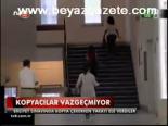 Kopyacılar Vazgeçmiyor