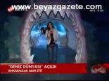 Deniz Dünyası Açıldı
