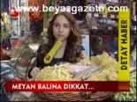 Meyan Balına Dikkat...